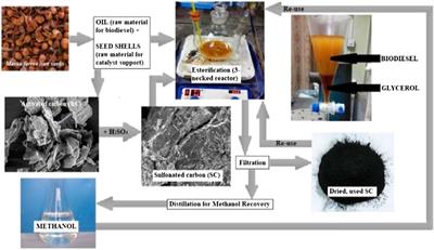 Sulfonated Mesua ferrea Linn Seed Shell Catalyzed Biodiesel Synthesis From Castor Oil – Response Surface Optimization